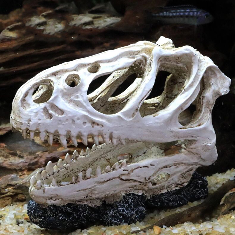 Aquarium Fish Tank Dinosaur He - Aquarium Fish Popular ulasan dan harga
