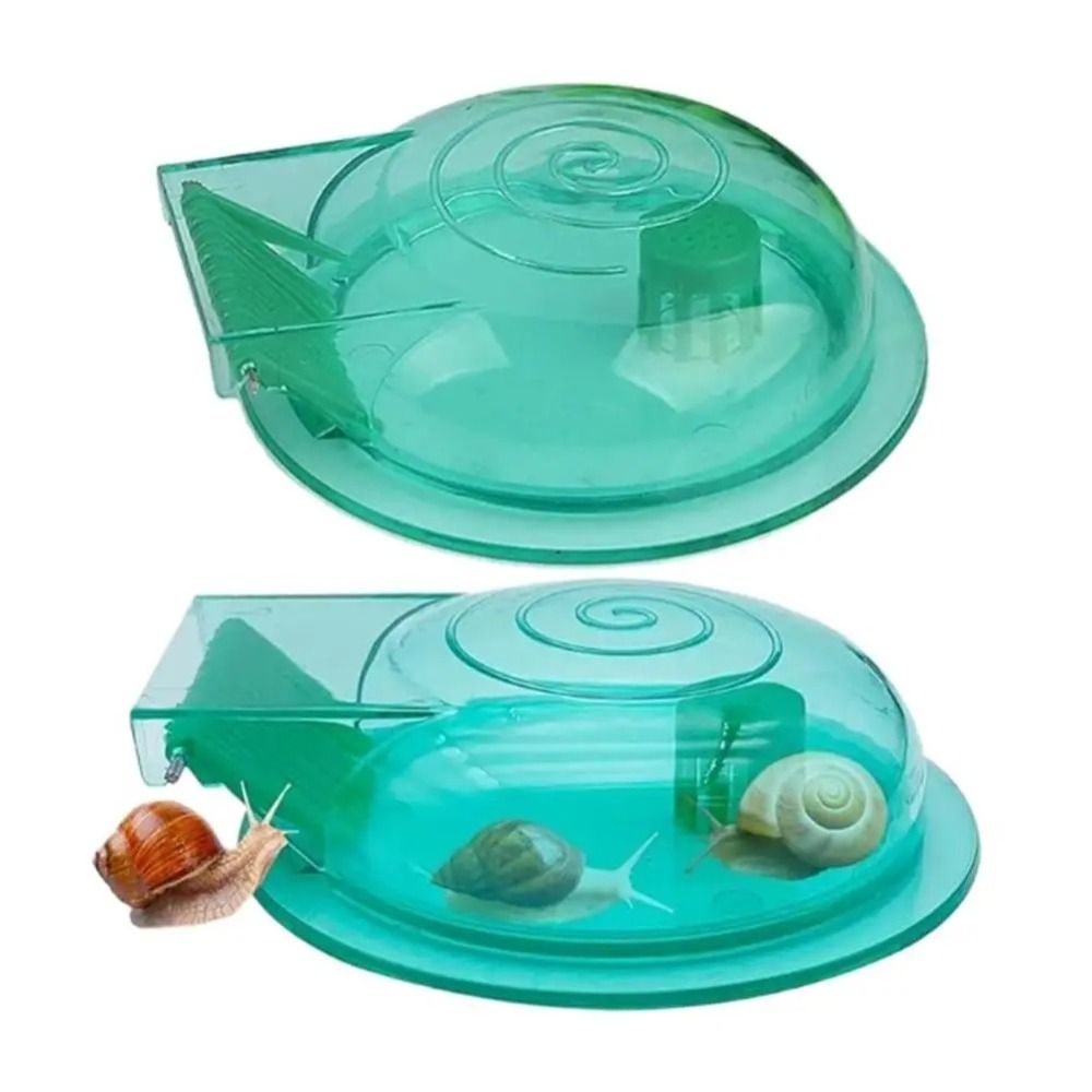 Freshwater Saltwater Aquarium  - Aquarium Fish Eggs ulasan dan harga