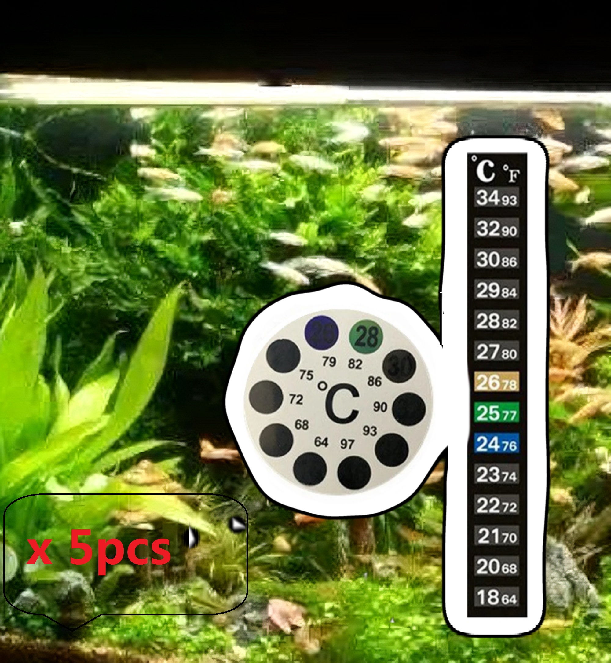 5Pcs Home Aquarium Fish Tank C - Aquarium Fish Colorful ulasan dan harga