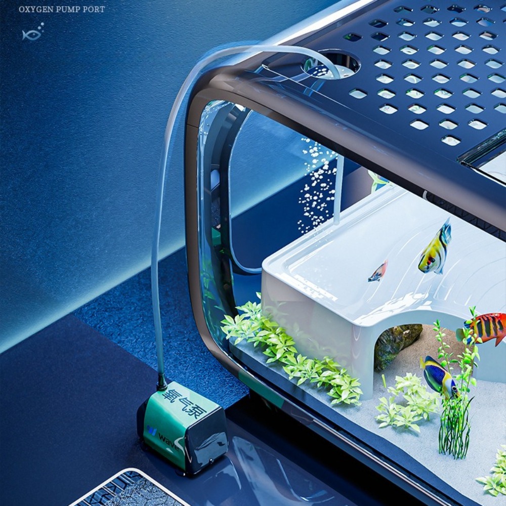 Transparent Luxury Fish Tank D - Aquarium Fish Cichlid ulasan dan harga