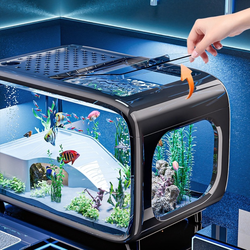 Transparent Luxury Fish Tank D - Aquarium Fish Cichlid ulasan dan harga