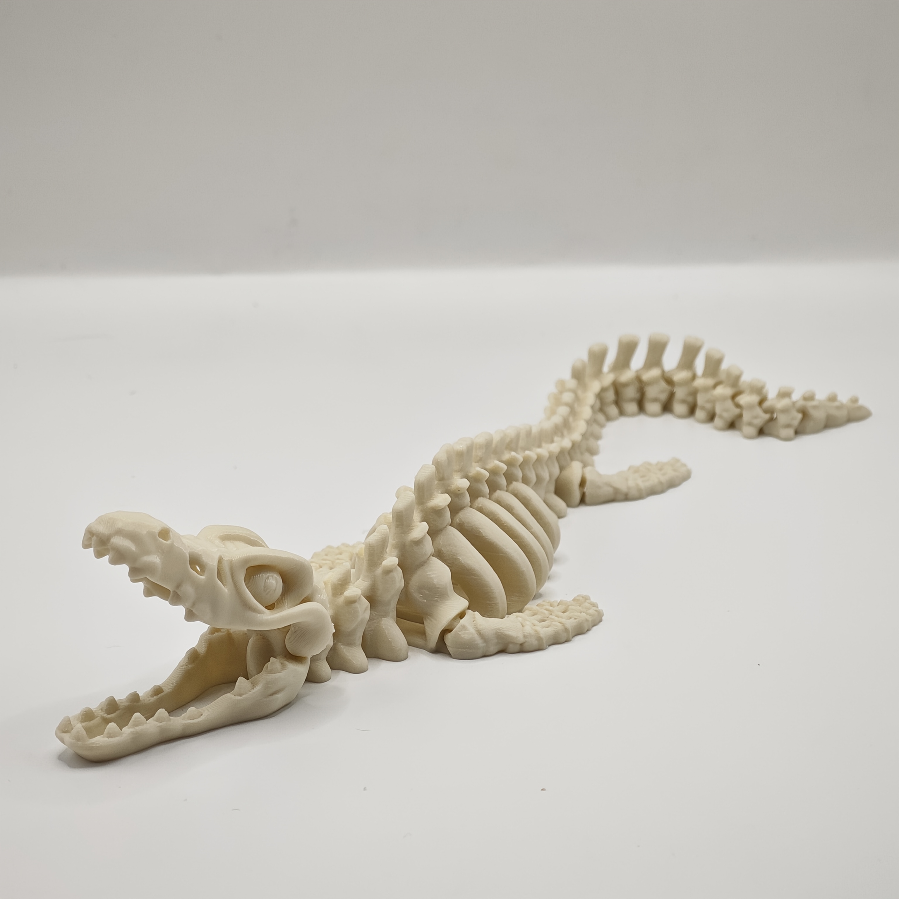 Realistic Canglong Skeleton Re - Aquarium Fish Reproduction ulasan dan harga