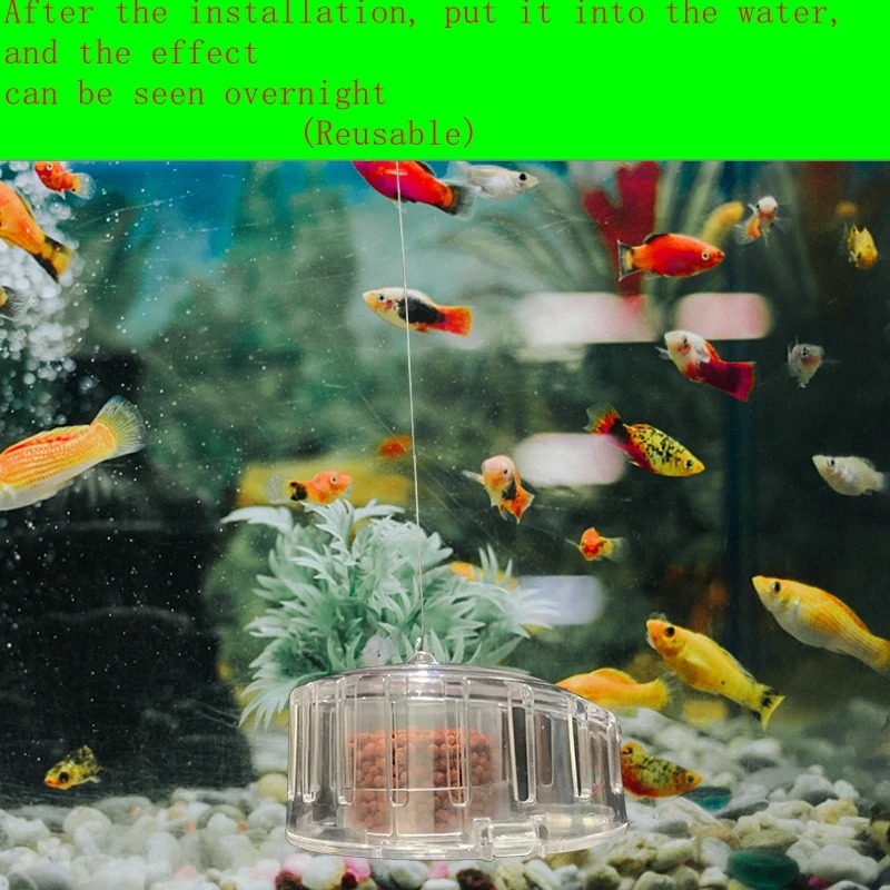 Aquarium Plant Snail Trap Catc - Aquarium Fish Diseases ulasan dan harga