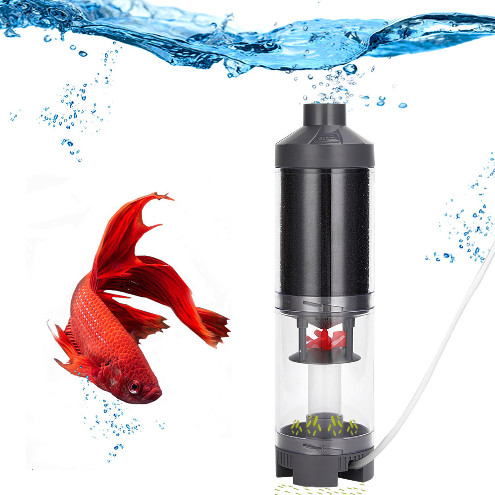 Popular Hot sell Aquarium Fish - Aquarium Fish Popular ulasan dan harga