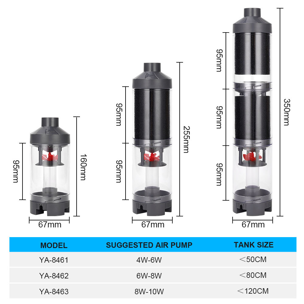 Popular Hot sell Aquarium Fish - Aquarium Fish Popular ulasan dan harga
