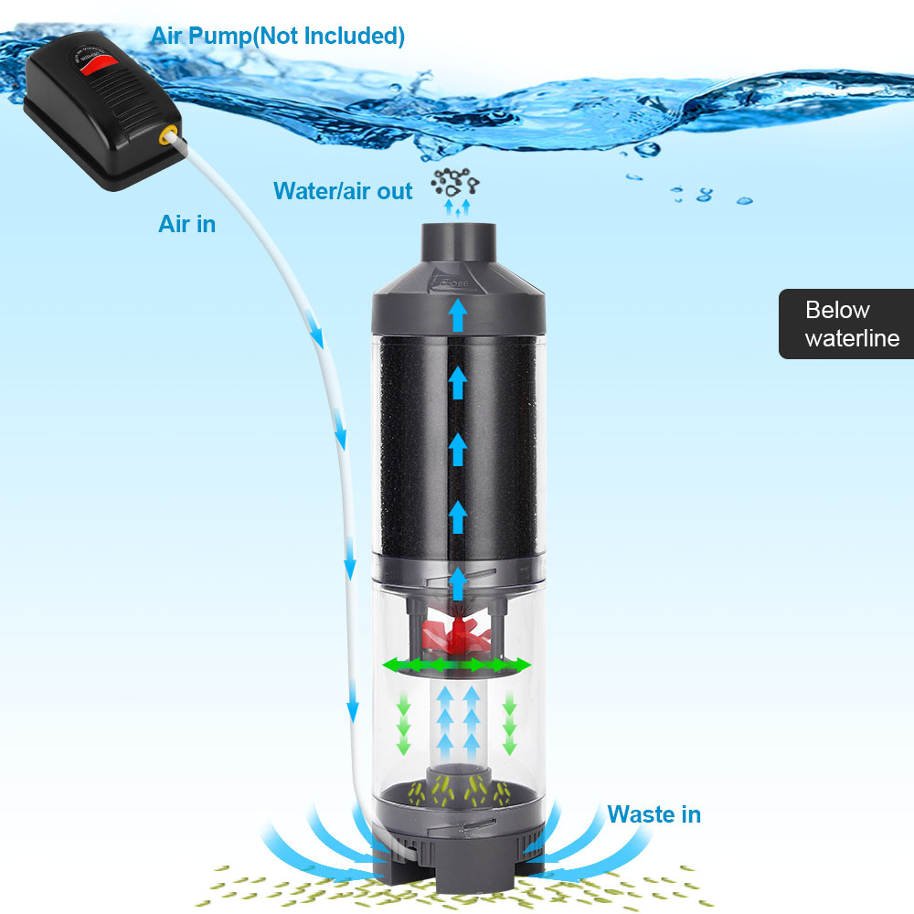 Popular Hot sell Aquarium Fish - Aquarium Fish Popular ulasan dan harga