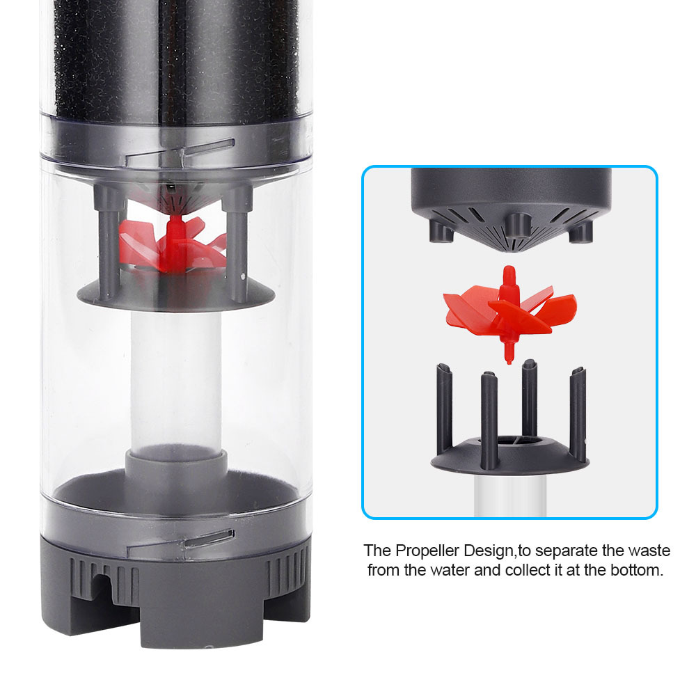 Popular Hot sell Aquarium Fish - Aquarium Fish Popular ulasan dan harga