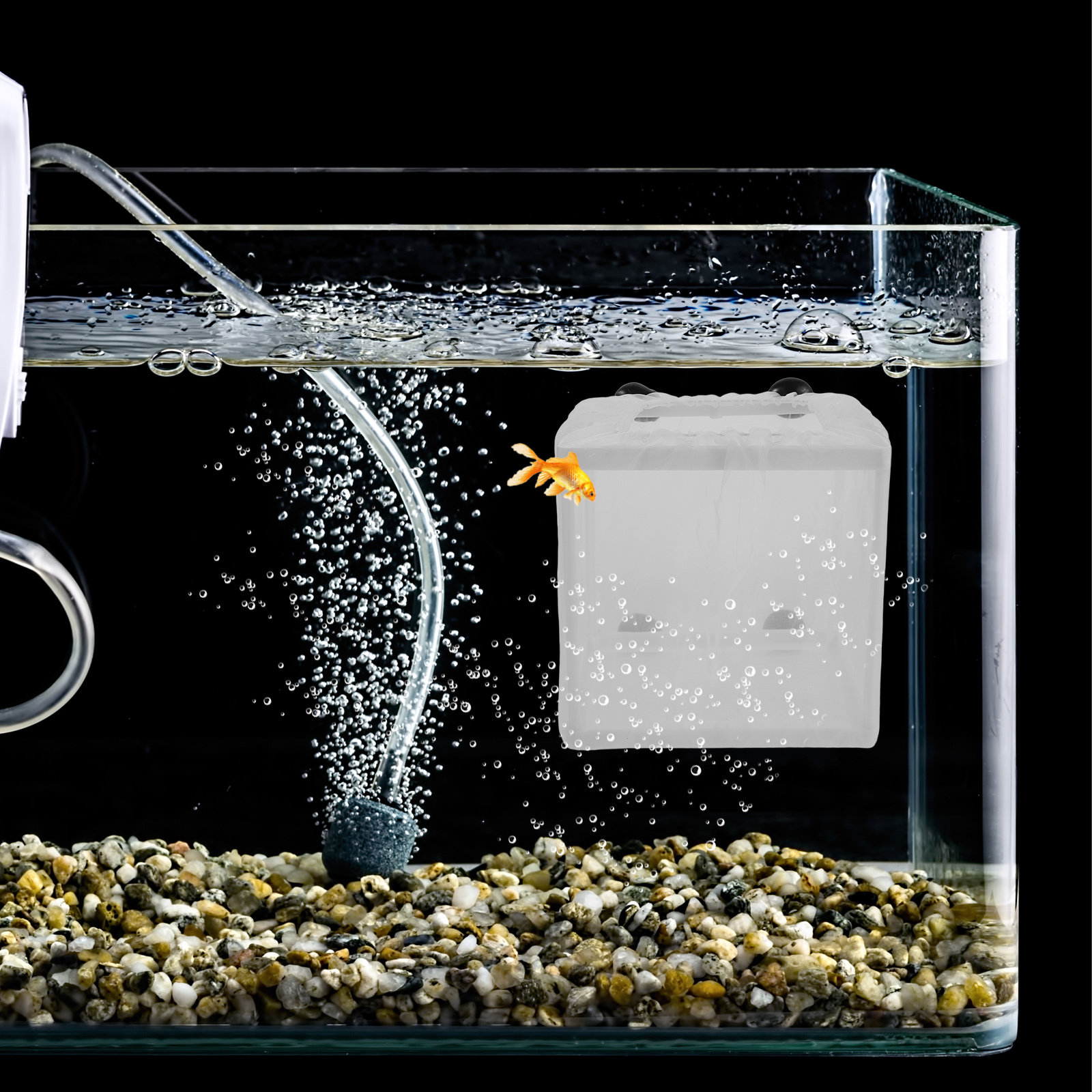 2Pcs Fish Breeding Box Aquariu - Aquarium Fish Eggs ulasan dan harga