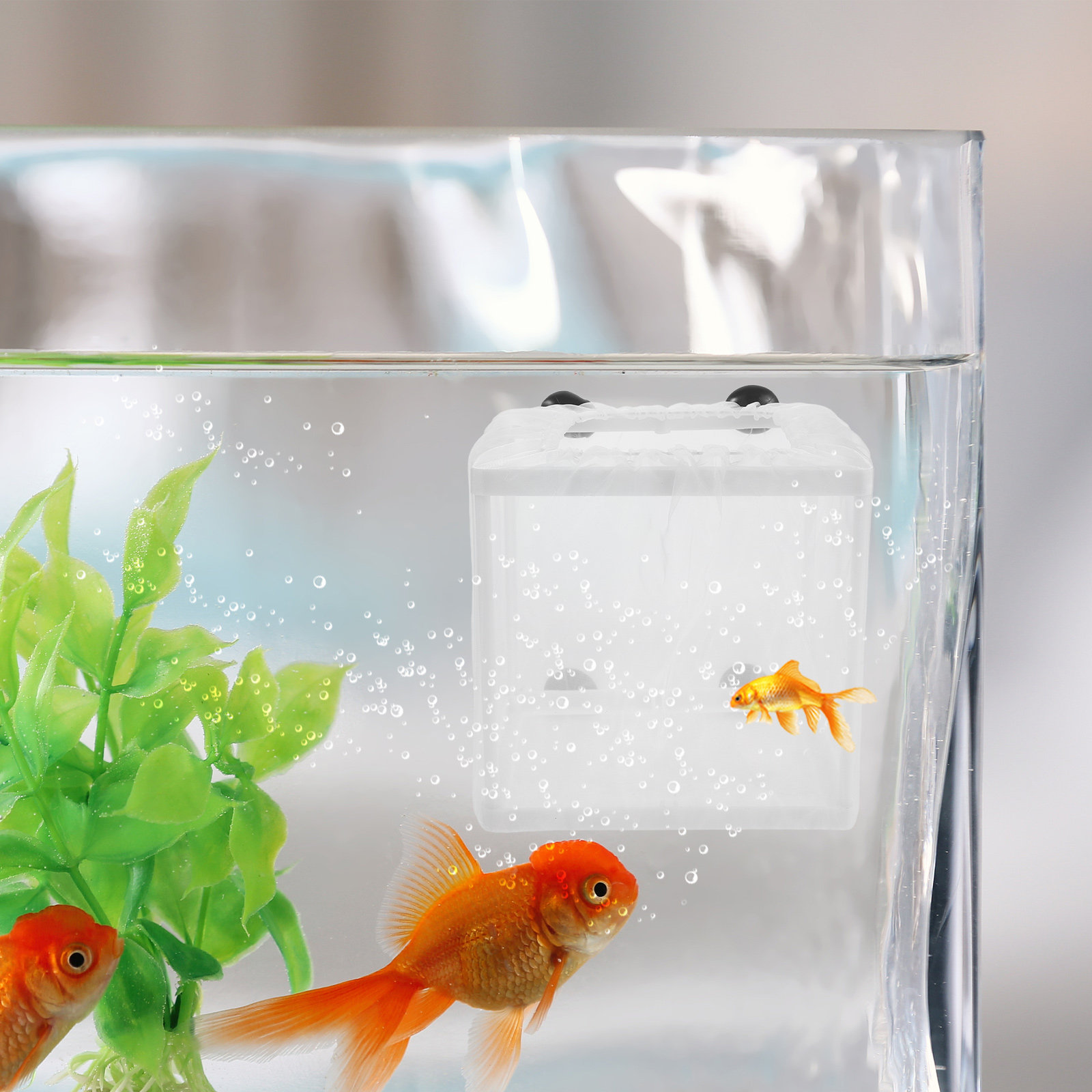 2Pcs Fish Breeding Box Aquariu - Aquarium Fish Eggs ulasan dan harga