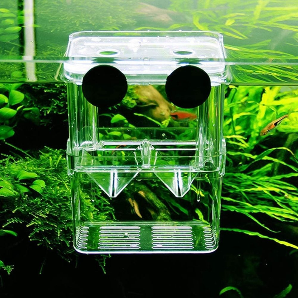 Multifunctional Aquarium Fish  - Aquarium Fish Reproduction ulasan dan harga