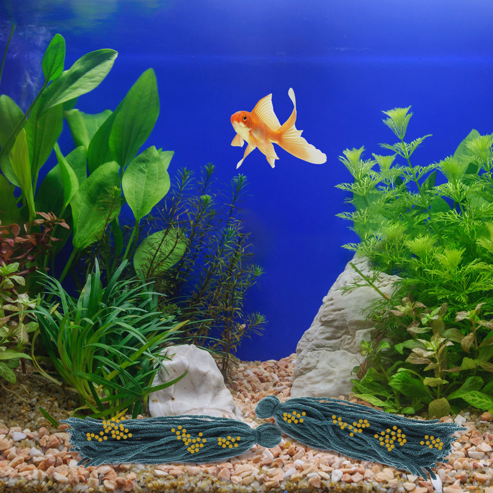 5 Pcs Fish Reproduction Mops F - Aquarium Fish Reproduction ulasan dan harga