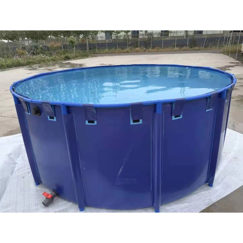 Wholesale Custom Outdoor Large - Aquarium Fish Popular ulasan dan harga