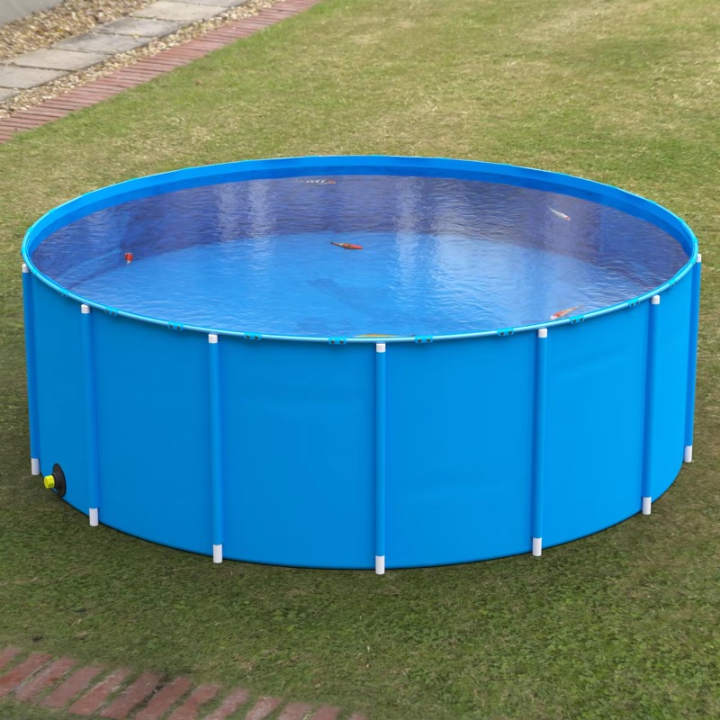 Wholesale Custom Outdoor Large - Aquarium Fish Popular ulasan dan harga