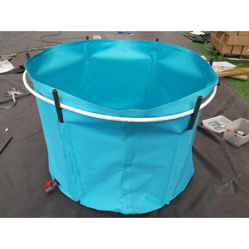 Wholesale Custom Outdoor Large - Aquarium Fish Popular ulasan dan harga