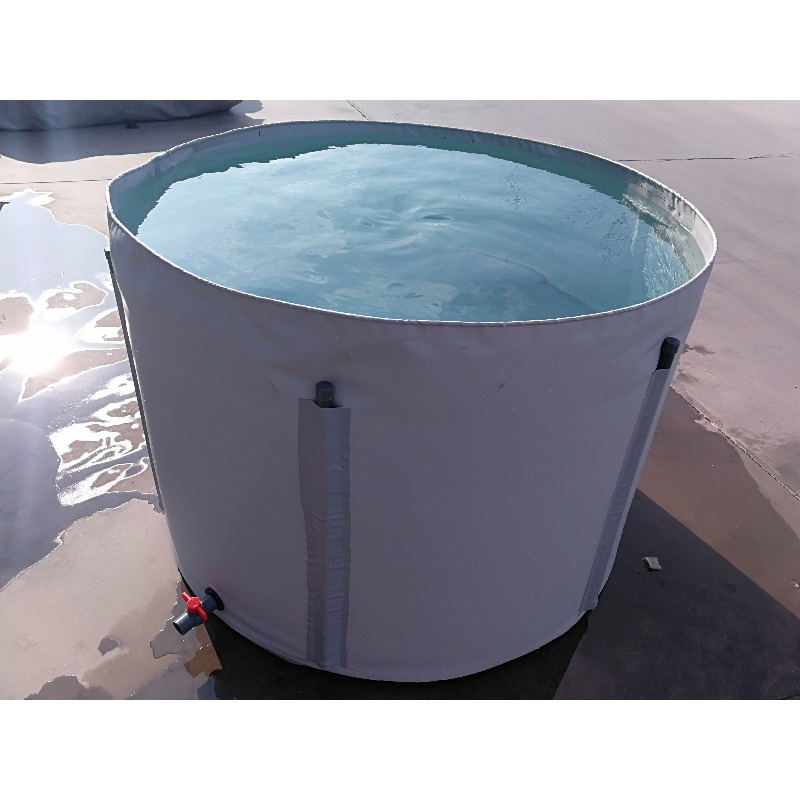 Wholesale Custom Outdoor Large - Aquarium Fish Popular ulasan dan harga