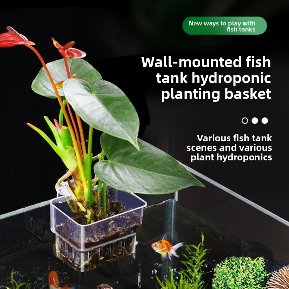 Aquarium Hydroponic Planting B - Aquarium Fish Pot ulasan dan harga