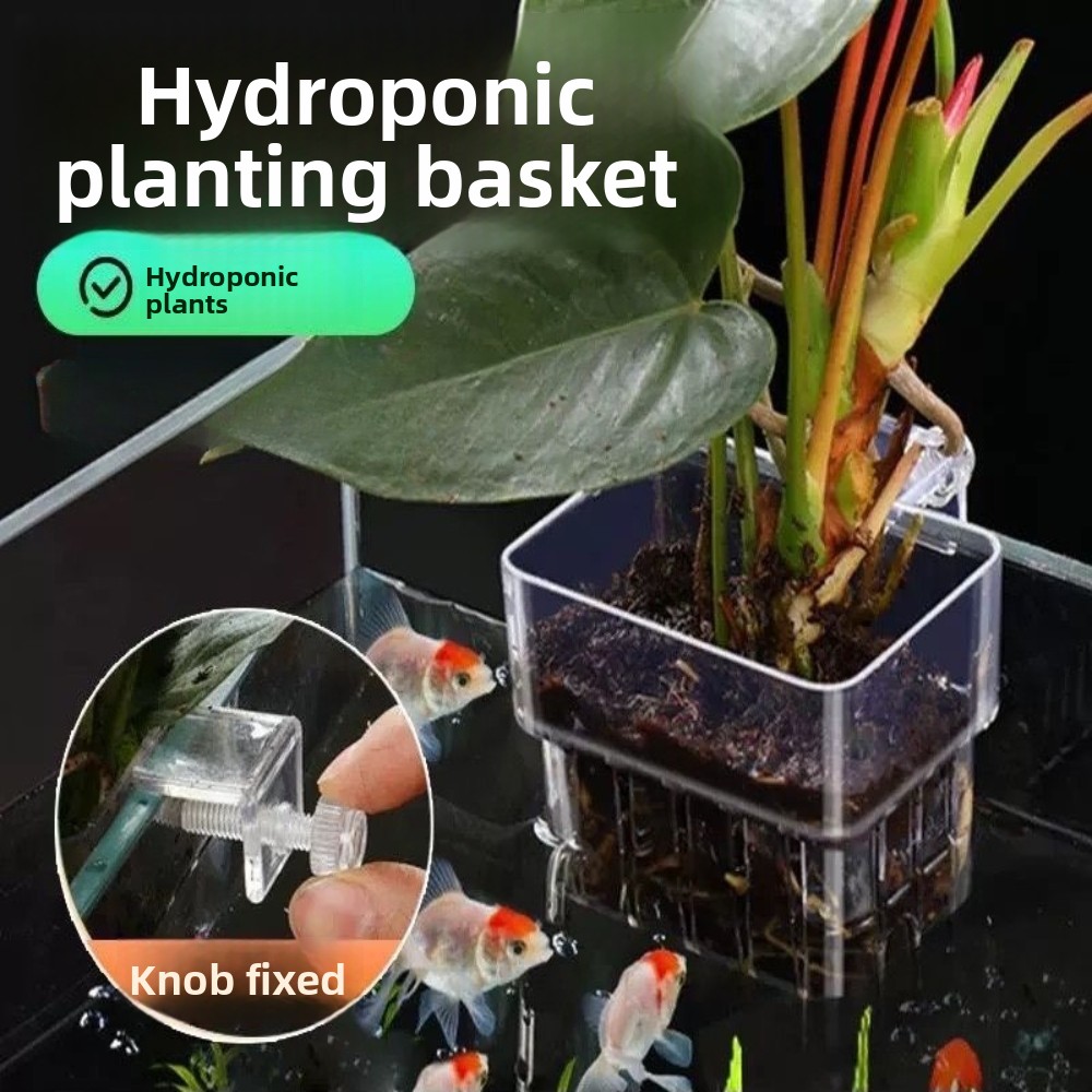 Aquarium Hydroponic Planting B - Aquarium Fish Pot ulasan dan harga
