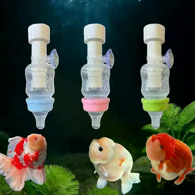 Popular Precise Fish Pacifier  - Aquarium Fish Popular ulasan dan harga