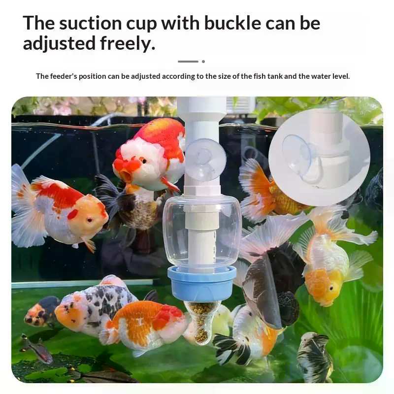Popular Precise Fish Pacifier  - Aquarium Fish Popular ulasan dan harga