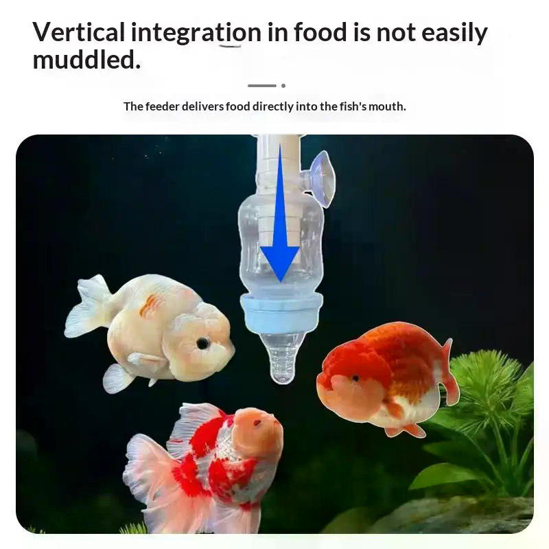 Popular Precise Fish Pacifier  - Aquarium Fish Popular ulasan dan harga