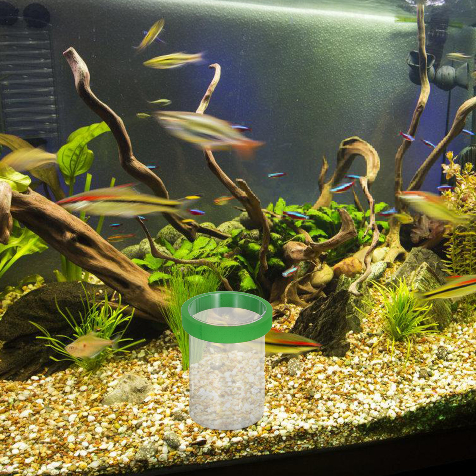 Fish Egg Incubator Aquarium Br - Aquarium Fish Eggs ulasan dan harga