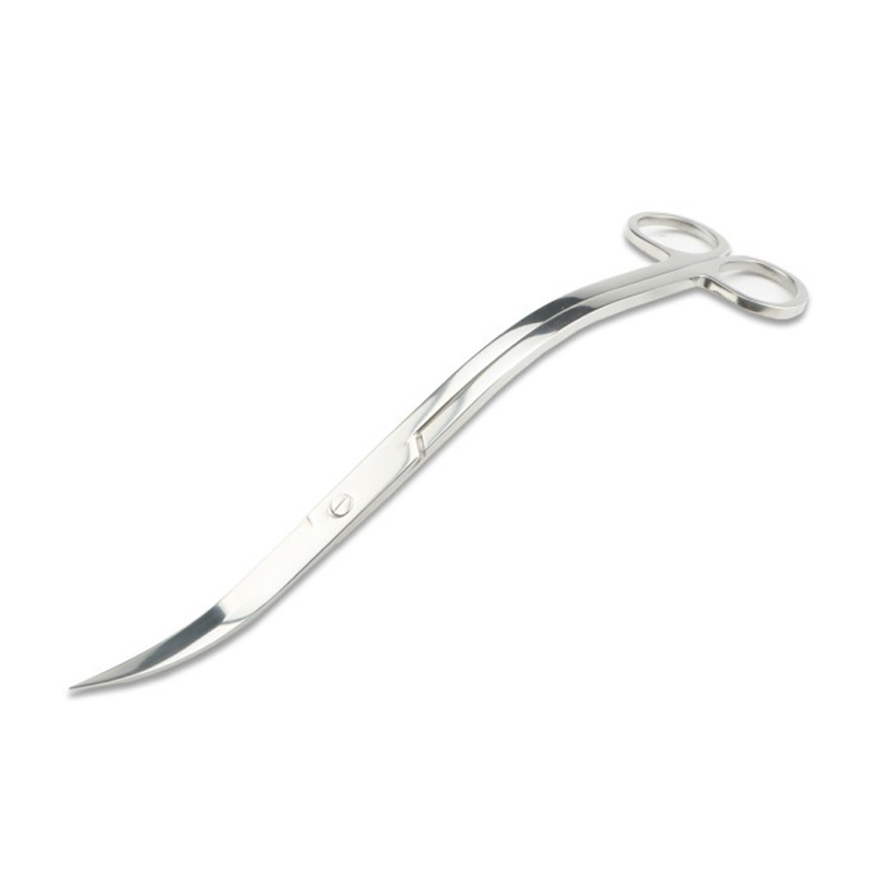 Aquarium Scissors Tweezers Too - Aquarium Fish Diseases ulasan dan harga