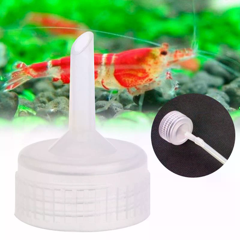 10Pcs Aquarium Brine Shrimp Ar - Aquarium Fish Eggs ulasan dan harga