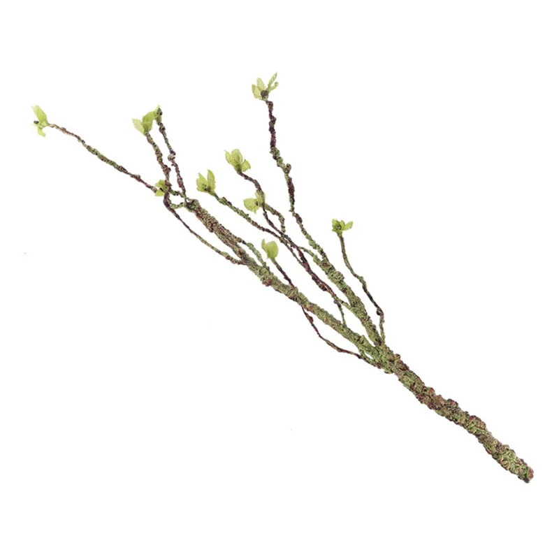 Vines Decor Climbing Branches  - Aquarium Fish Cichlid ulasan dan harga