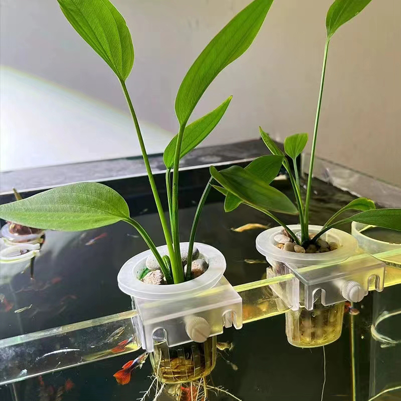 Aquarium Planting Basket Hydro - Aquarium Fish Pot ulasan dan harga