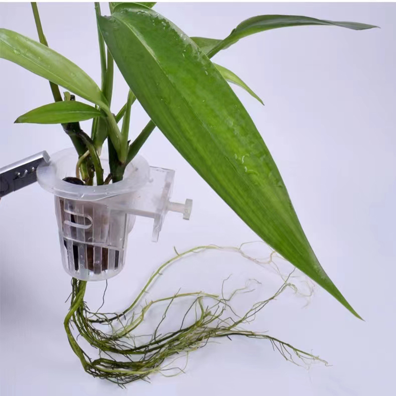 Aquarium Planting Basket Hydro - Aquarium Fish Pot ulasan dan harga