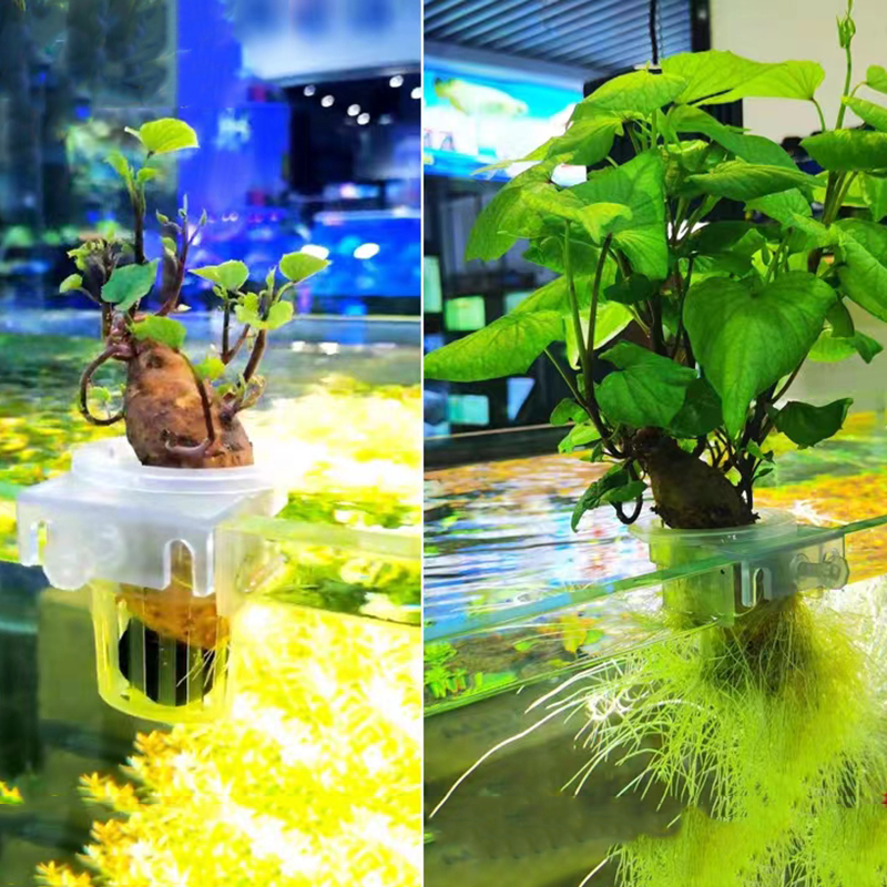 Aquarium Planting Basket Hydro - Aquarium Fish Pot ulasan dan harga