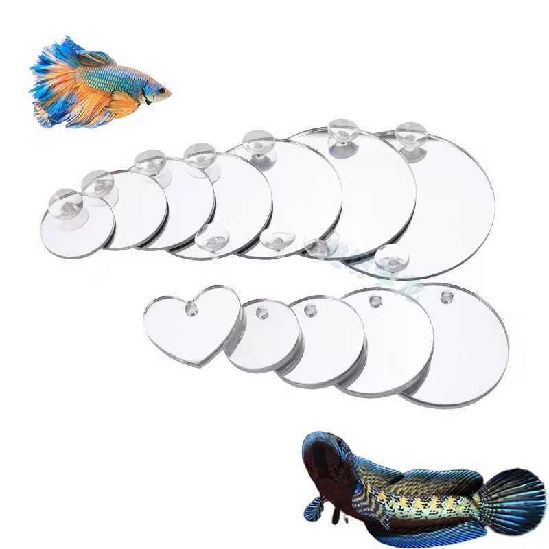 Aquarium Betta Mirror Fish Tan - Aquarium Fish Cichlid ulasan dan harga