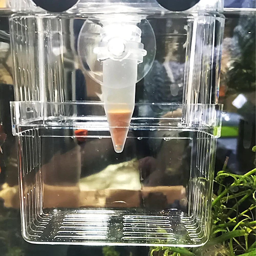 Automatic Fish Feeder Cone Shr - Aquarium Fish Eggs ulasan dan harga