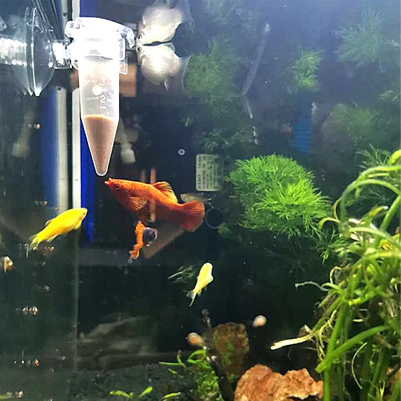 Automatic Fish Feeder Cone Shr - Aquarium Fish Eggs ulasan dan harga