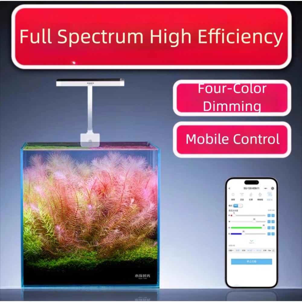 Netlea Aquatic Time Mini Aquar - Aquarium Fish Colorful ulasan dan harga